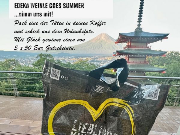 Eine EDEKA Tüte steht auf einer Bank vor einem Gebäude im japanischen Stil und der Mount Fuji, Japan, ist im Hintergrund zu sehen.